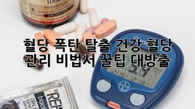 혈당 폭탄💣 탈출! 건강 혈당 관리 비법서 꿀팁 대방출🍯