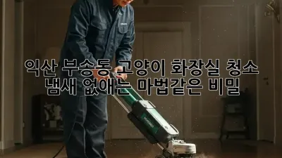 익산 부송동 고양이 화장실 청소, 냄새 없애는 마법같은 비밀!