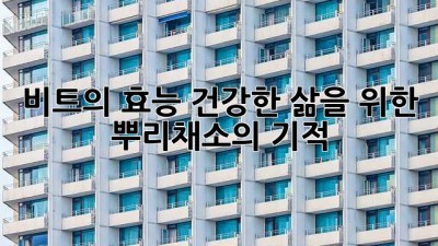 비트의 효능: 건강한 삶을 위한 뿌리채소의 기적