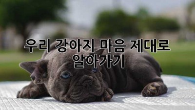 우리 강아지 마음, 제대로 알아가기🐶
